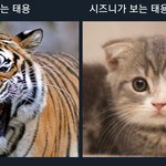 [NCT] 엔시티 웃짤 <b>모아</b>봄 ㅎㅎ 11탄