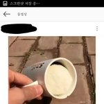 [댓글부탁해] 얘들아 기니<b>피그</b> 이거 괜찮은 거야?