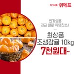 정말 너무 파격가에 나왔네요!!