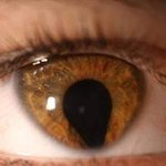 [댓글부탁해] 경량조끼입은걸로 정떨어지면