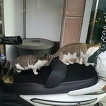 [댓글부탁해] 우리반 일진들 오토바이 타는 사진 빛삭