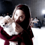 [댓글부탁해] 개도도한 트와이스 나연이네 강아지.<b>gif</b>