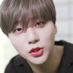 [아이콘] 짤털이하자