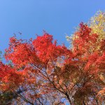 쌍수에 대한 나의 생각