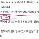 [꼭조언부탁] 유기묘 구조하냐 물었다가 난리났어요