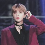 [강다니엘] ⭕ㅋㅋㅇㅎㅅㅌ도 투표해야돼⭕