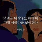 성형 시기 언제가 제일 <b>적절</b>해?