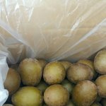 [EXO] 전라도 골드키위는 노예가 <b>재배</b>한게 분명해