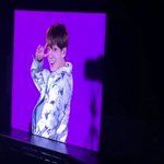 [방탄소년단] 보고 와 얼른ㅠ (거의 죽은 <b>자의</b> 글)