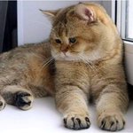 [댓글부탁해] 지금 마스크팩 <b>1+1</b> 행사 하는