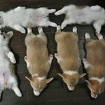 [NCT] <b>수험</b>생들을 위해 오늘밤내일낮 티저는 참겠어요...
