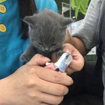 [댓글부탁해] 나만 드라마 <b>ppl</b> ㅈㄴ싫냐...