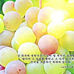 특별한 수료식