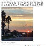[댓글부탁해] 얘달아 <b>야들</b>아 얘글아 ㅜ ㅜ