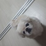 [드루와] 안먹은지 <b>오래</b>된 음식 있어?? 말해줘