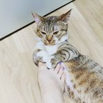 이건모<b>나옹</b>