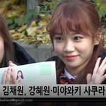 [댓글부탁해] 아이즈<b>원</b> 김채원 수능 등교 풀 뜸 <b>하트</b>주자