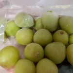 [jmt] 얘들아 <b>청포</b>도 꼭 얼려먹어ㅠㅠ