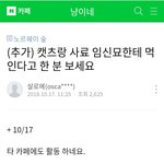 파렴치한 고양이 학대범 고발 합니다. 여러분들의 관심이 필요합니다...