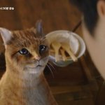 [모두드루와] 흔한 <b>tvn</b> 드라마 CG..