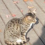 [드루와] <b>일산</b> 사는 애들아 중3인데 고등학교 추천좀