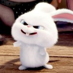 [댓글부탁해] 수능친날쓰는 수능후기~!