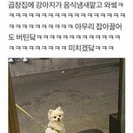 [댓글부탁해] 얼굴 예쁘고 키크고 공부못하는데 무슨 직업이 맞을까...