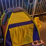 [댓글부탁해] 사람들이 버려진 텐트에 <b>고앵이</b>를 넣어놨다!!