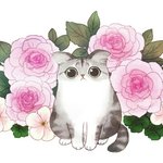 [드루와] 예스 오어 예스 안무 <b>난이</b>도 상당히 높지??