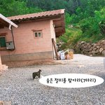 [드루와] 숨은 <b>절미</b> 찾기