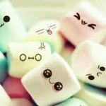 <b>마쉬</b>멜로우