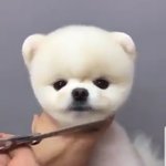 [드루와] 제일 흑역사인 <b>닉넴</b> 하나 투척해봐