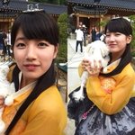 강아지 키우는 여돌들