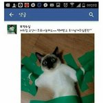 [댓글부탁해] 나만 내 최애 병크 터지는거 재밌냐ㅋㅋ