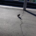 너네 외모 신경 안 쓰고 앞머리 <b>유무</b> 어케 생각함