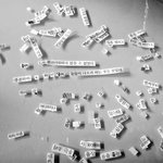 개빻은남자쌤으로 <b>bl</b>썼는데당사자가봤다