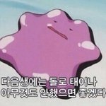 [조언부탁해] 얼굴 지방<b>흡입</b>