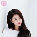 <b>미주</b> 이사진 분위기 미쳤다