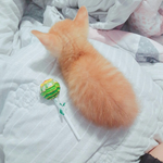 [드루와] 겨울방학 <b>때</b> <b>알바</b> ㅈㄴ 열심히 해서