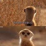 <b>다윤</b>이 오랜만이야 보고싶었어