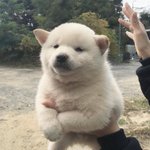 [댓글부탁해] <b>연합</b>뉴스에 판 나왔다....