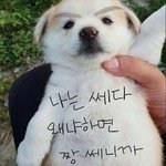 [댓글부탁해] 나만 내가 빠는애 병크터지면 재밌냐