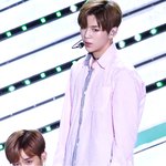 [강다니엘] 아까 알쓸신잡에 자료화면으로 나왔던 강다니엘 활활 직캠ㅋㅋㅋ