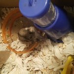 애꾼이눈이 되어버린 <b>북문</b>이~~~