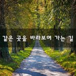 [너가봤으면] 같은 곳을 바라보며 가는 길~