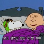 [댓글부탁해] 중1 때 모고 풀어서 80점대 중반 나왔으면 <b>평타</b>??