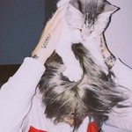 [댓글부탁해] 너네 인생명곡 뭐야?