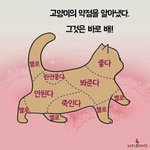 [드루와] 특례 재외국민 전형 어떻게 생각함?