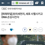 미세먼지)이런나라에 연애하고 결혼하고싶냐