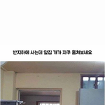 [댓글부탁해] 와 <b>알바자리</b> ㅈㄴ없음;